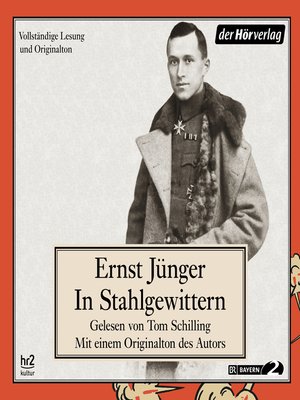 cover image of In Stahlgewittern